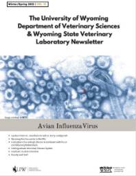 cover of volume 6 of the newsletter