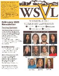 february 2025 newsletter cover