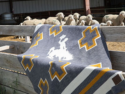 Blanket on fence with sheep in background