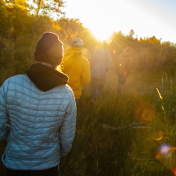 Researches walk through a grassy area during sunset