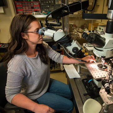 A researcher looks into a large microscope