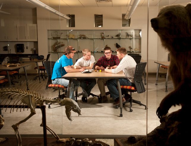 Four students sit and talk around a table. There are taxidermy animals surrounding them