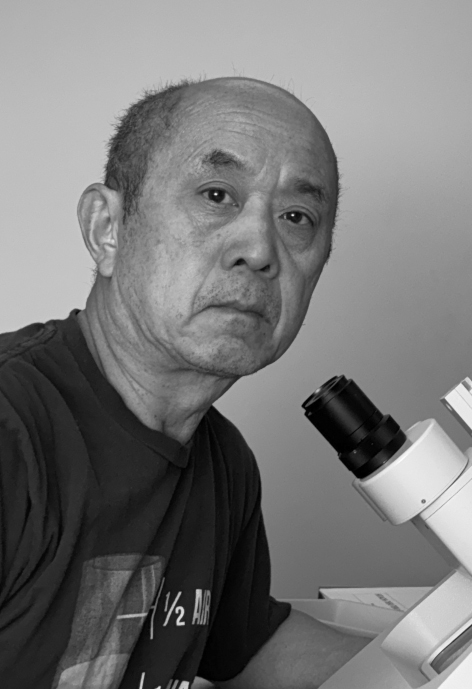 Zhaojie Zhang uses a microscope