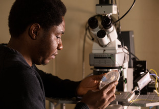 A student sits and examines a slide from a microscope