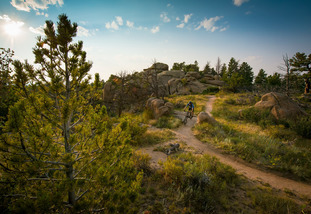 Person mountain-biking through woods.