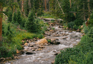 A river in the mountains