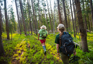 Two people hike through a forest