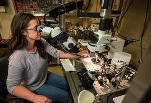 Student looks into miscroscope inside laboratory
