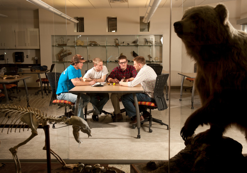 Four students sit in a classroom during an Ornithology discussion.